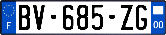 BV-685-ZG