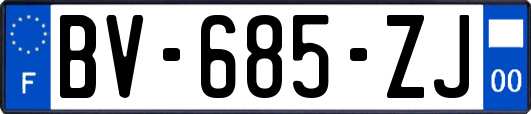 BV-685-ZJ