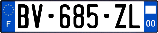 BV-685-ZL