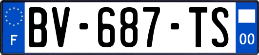 BV-687-TS