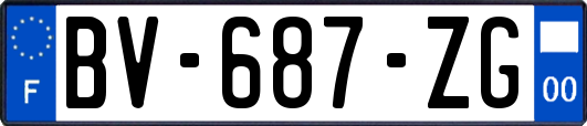 BV-687-ZG