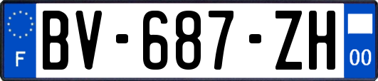 BV-687-ZH