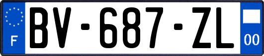 BV-687-ZL