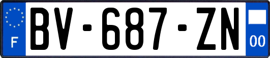 BV-687-ZN