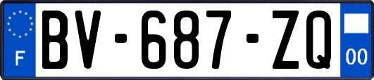 BV-687-ZQ