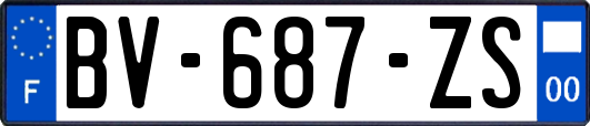 BV-687-ZS