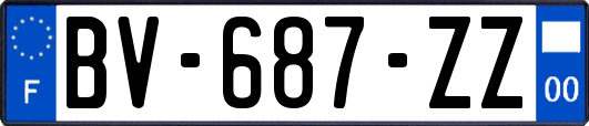 BV-687-ZZ