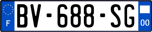 BV-688-SG