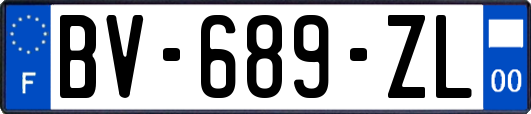 BV-689-ZL