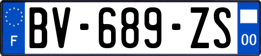 BV-689-ZS