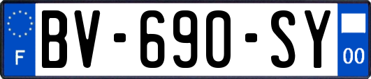 BV-690-SY