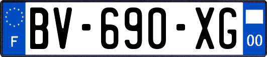 BV-690-XG