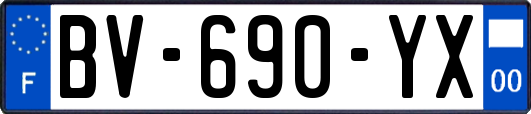 BV-690-YX