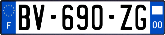 BV-690-ZG