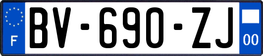 BV-690-ZJ