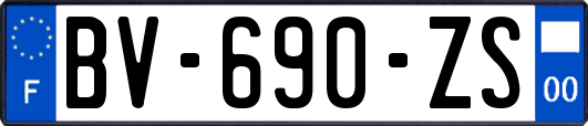 BV-690-ZS