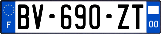 BV-690-ZT