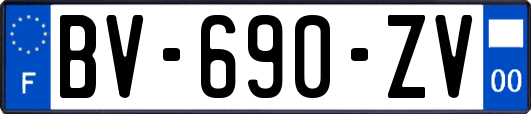 BV-690-ZV