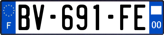 BV-691-FE