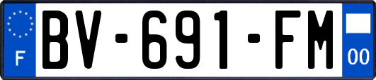 BV-691-FM