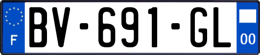 BV-691-GL
