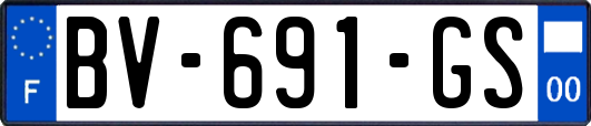 BV-691-GS