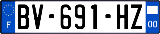 BV-691-HZ