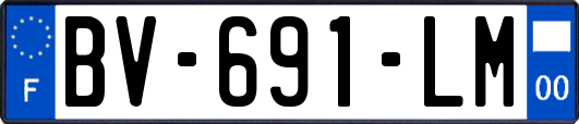 BV-691-LM