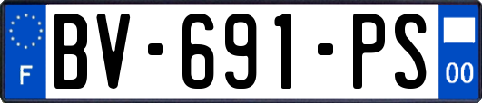 BV-691-PS