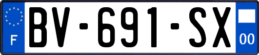 BV-691-SX