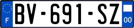 BV-691-SZ