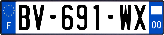 BV-691-WX