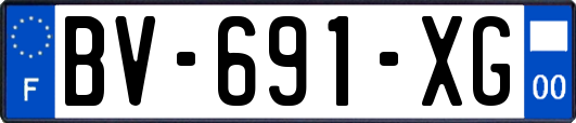 BV-691-XG