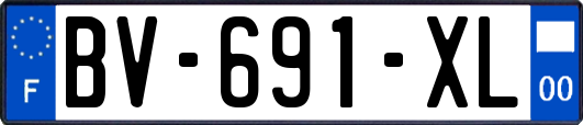 BV-691-XL