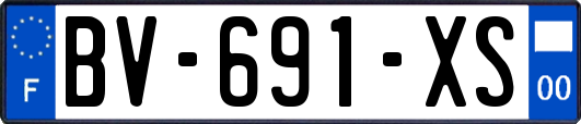 BV-691-XS