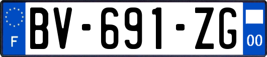 BV-691-ZG