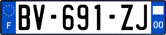 BV-691-ZJ