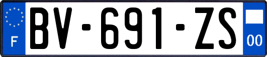 BV-691-ZS