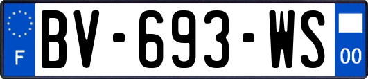 BV-693-WS