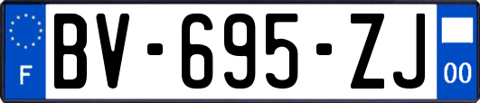 BV-695-ZJ