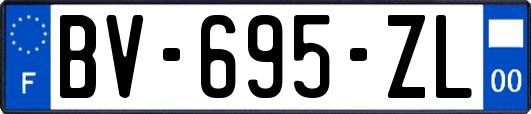 BV-695-ZL