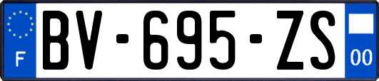 BV-695-ZS