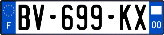 BV-699-KX