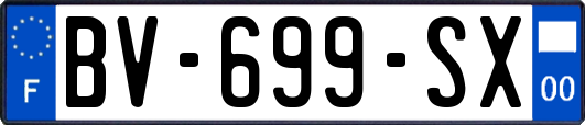 BV-699-SX