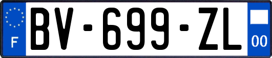 BV-699-ZL