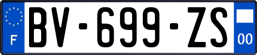 BV-699-ZS