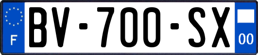 BV-700-SX