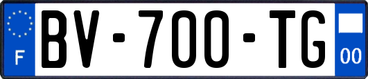 BV-700-TG