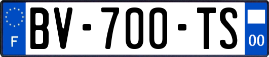 BV-700-TS