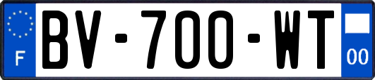 BV-700-WT